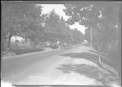 [auto racing "#42"]