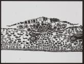 [Photomicrographs of various plants]