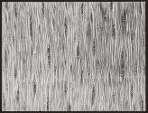 [Photomicrographs of various plants]
