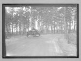 [auto driving on country road "The Acme"]