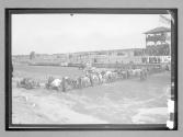 [autos lined up to start at track]