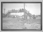 [auto racing "#4"]