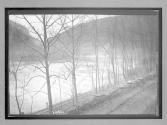 [river]