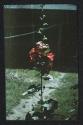 [Hollyhock]