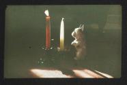 [Ceramic dog near two candles]