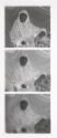 [Seated woman wearing veil]