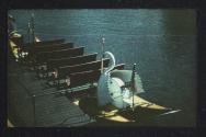 [Docked swan boat]