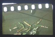 [Fishing lures]