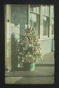 [Small Christmas tree on porch]