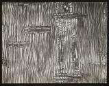 [Photomicrographs of various plants]