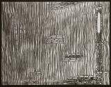 [Photomicrographs of onion root and black ash]