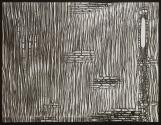 [Photomicrographs of onion root and black ash]