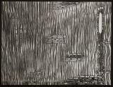 [Photomicrographs of onion root and black ash]
