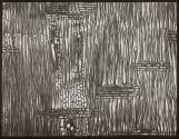 [Photomicrographs of various plants]