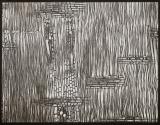 [Photomicrographs of various plants]