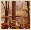 [View of pond with flowers in window, Umpawaug Farm, West Redding, Connecticut]