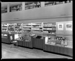 [Original and copy negatives of George Murphy's Camera Store ca. 1915-1935]