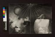 Documentary Photogram / Breakfast and Lunch
