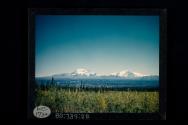 [Mt. Drum (left); Mt. Wrangell (right)]