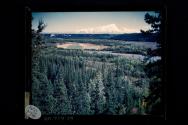 [Mt. Sanford]