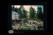 [Untitled]