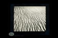 [Untitled]