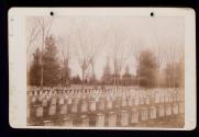 Section of Graves in Cemetery