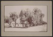[Building on Carr Street] \ View of Redlands, California from Terracina Hotel