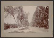 Driveway \ Magnolia Ave, Riverside, California