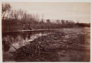 Beaver Dam on Henry's Fork