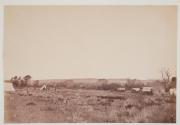 [Surveyor's Camp; F.V. Hayden in the field]