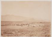 Camp in Cache Valley, Utah