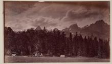 [Surveyor's Camp]
