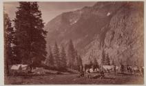Camp in Baker's Park, Colorado