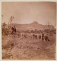 [Paiute Indian Children Playing Game]