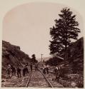 1000 Mile Tree, Union Pacific Railroad
