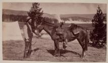 [Surveyor with saddled mule at Camp]