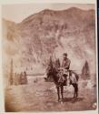 Surveyor Atop Mule