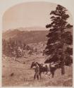 [Man with horse [possibly Prof. Hayden]]