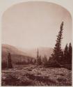 [In the Yellowstone ?]