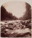 West Gallatin River