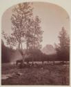 Camp in Palace Butte Park, Palace Butte in background.