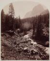 [Palace Butte]