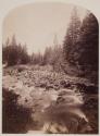 [Palace Butte Park, from Middle Creek]