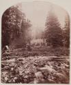 Camp on Middle Creek, Palace Butte Park