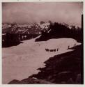 On way to Nisqually Glacier