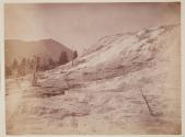 Mammoth Hot Springs