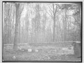 Morris Graveyard, 1879