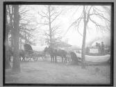 Cotton picking N. Carolina at High Point, Dec 1885