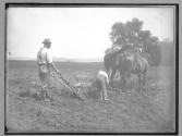 Ploughing, 1886
